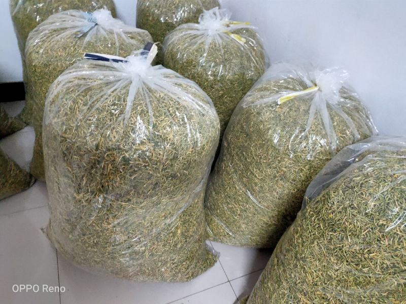 金银花