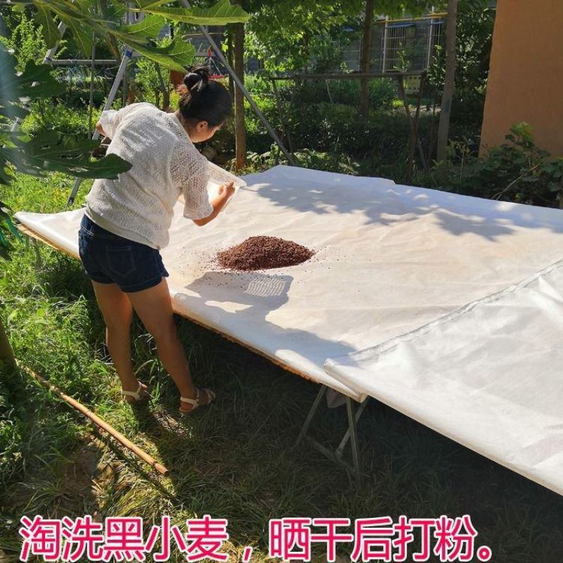 5斤新黑小麦全麦面粉纯黑麦粉新黑全麦粉含麸皮农家食用包邮