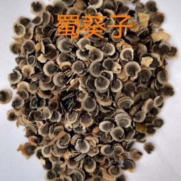 蜀葵子中药材熟季花籽豹子眼干净无杂干货包邮
