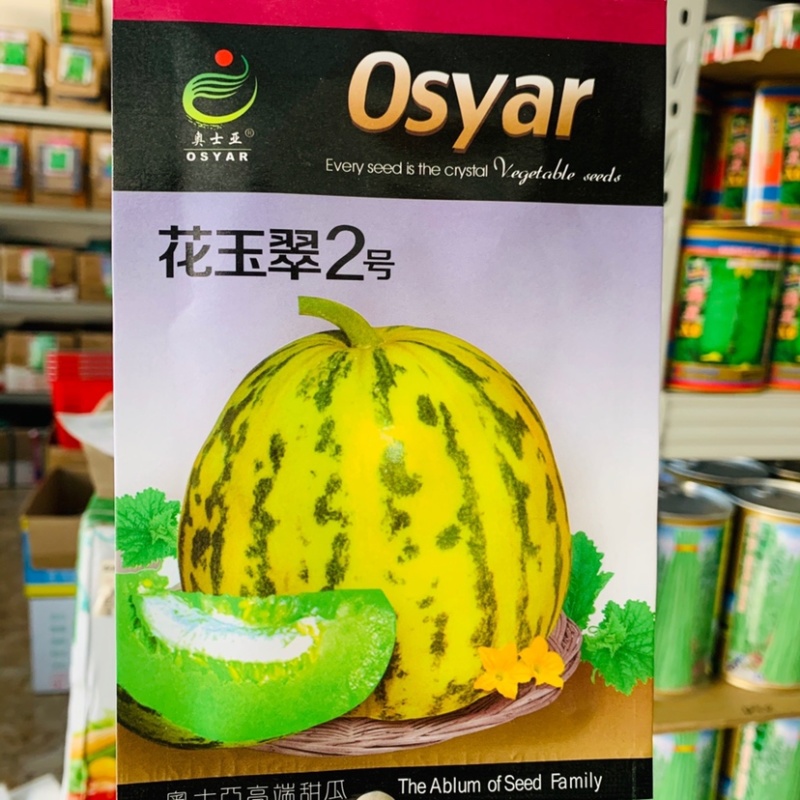 花皮特甜杂交一代薄皮甜瓜种子花玉翠2号口感香甜酥脆