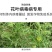 1%香菇多糖番茄草莓黄瓜蔬菜花卉辣椒花果等病毒病专用