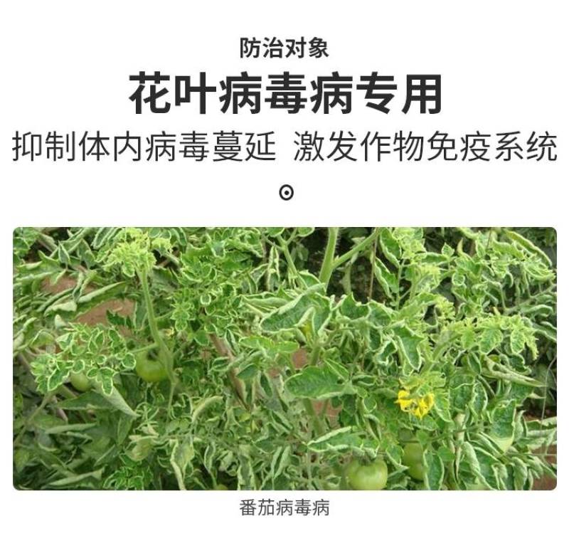 1%香菇多糖番茄草莓黄瓜蔬菜花卉辣椒花果等病毒病专用