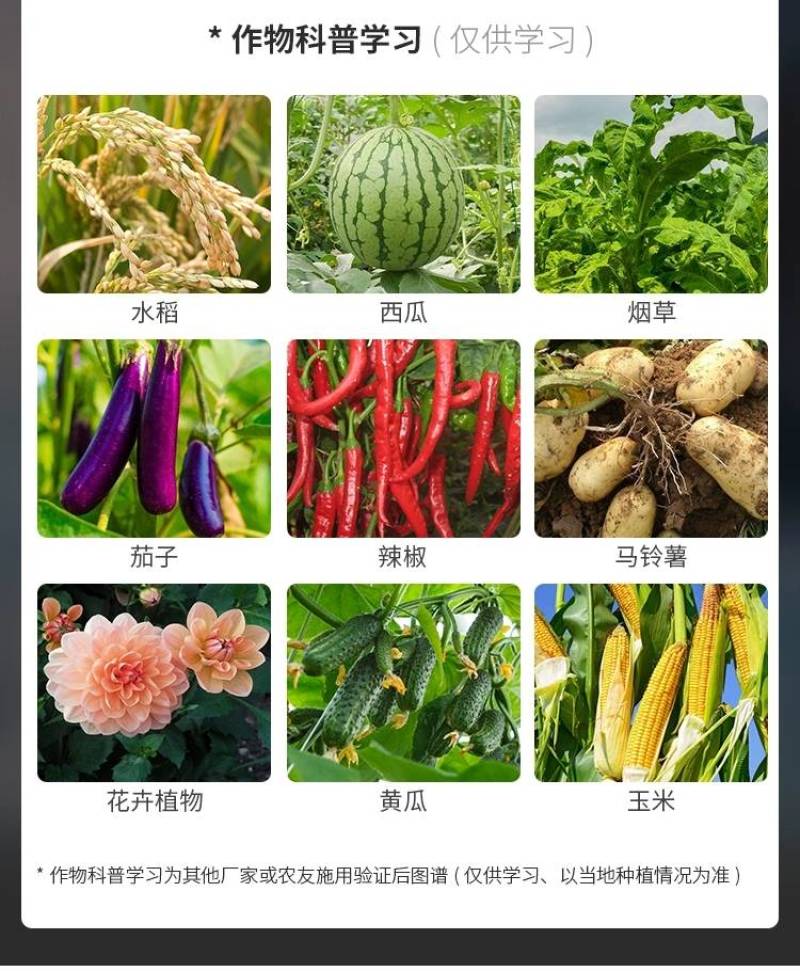 1%香菇多糖番茄草莓黄瓜蔬菜花卉辣椒花果等病毒病专用