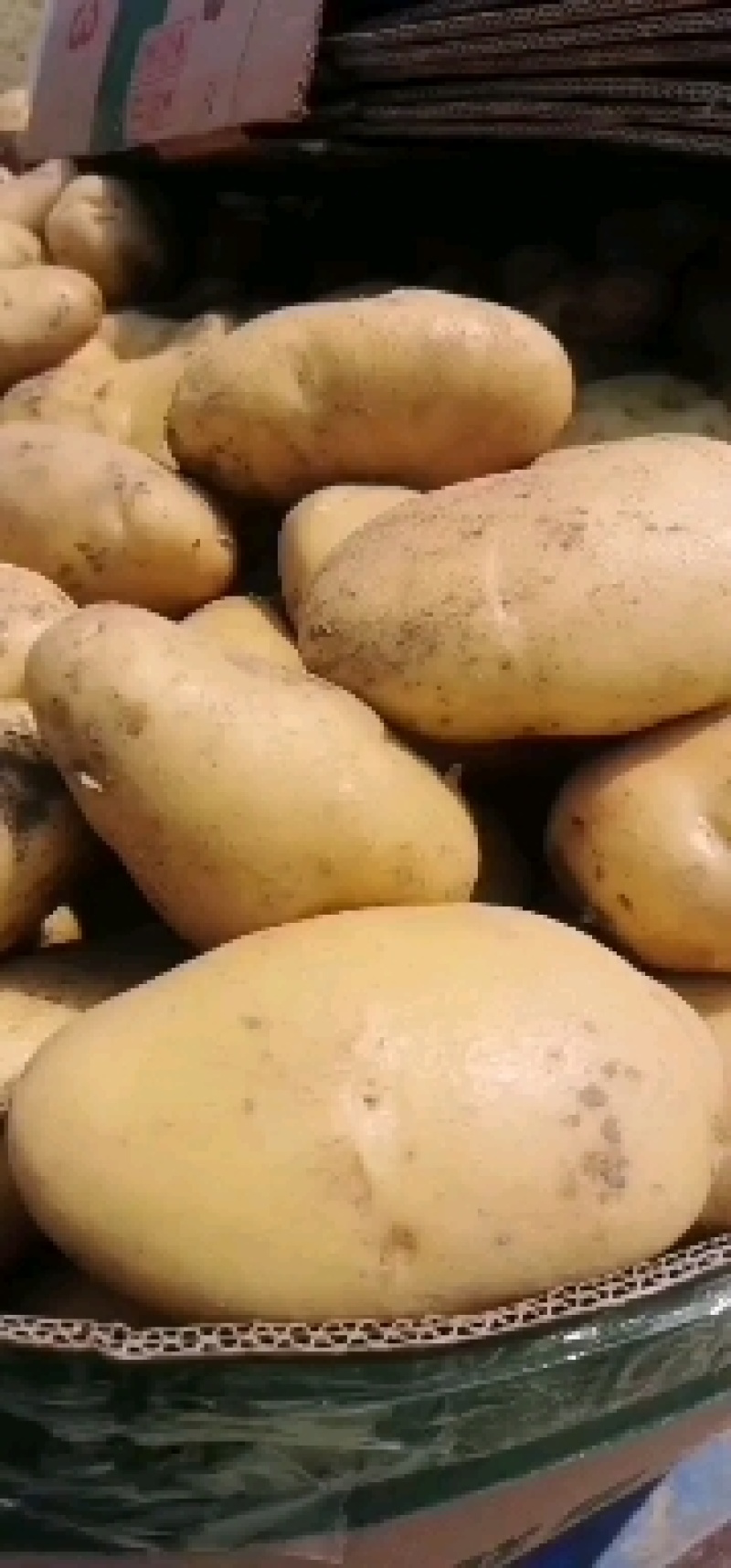 夏邑土豆黄心土豆基地现货一手货源保质保量发往全国