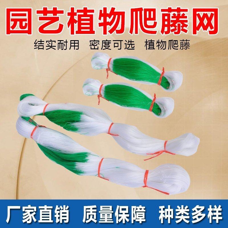 爬藤网种植网加粗线爬藤网粗9股吊瓜小西瓜瓠子小冬瓜类