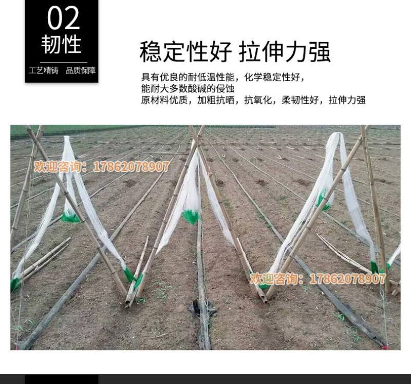 爬藤网种植网加粗线爬藤网粗9股吊瓜小西瓜瓠子小冬瓜类