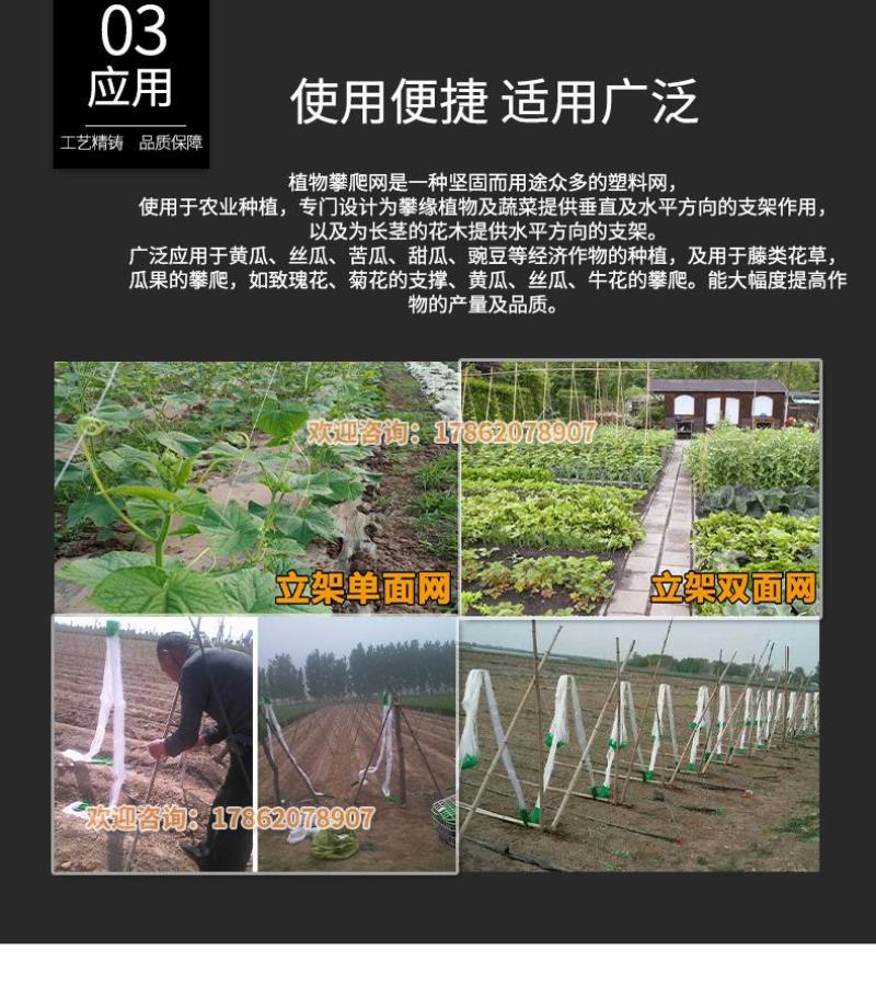 爬藤网种植网加粗线爬藤网粗9股吊瓜小西瓜瓠子小冬瓜类