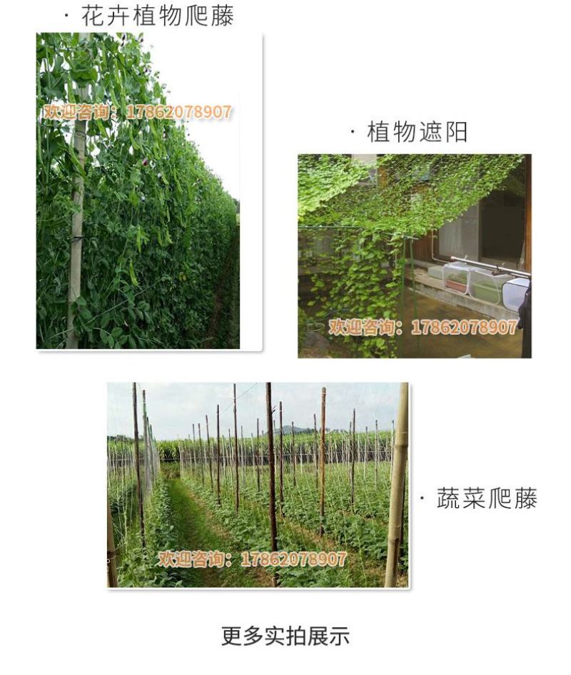 爬藤网种植网加粗线爬藤网粗9股吊瓜小西瓜瓠子小冬瓜类