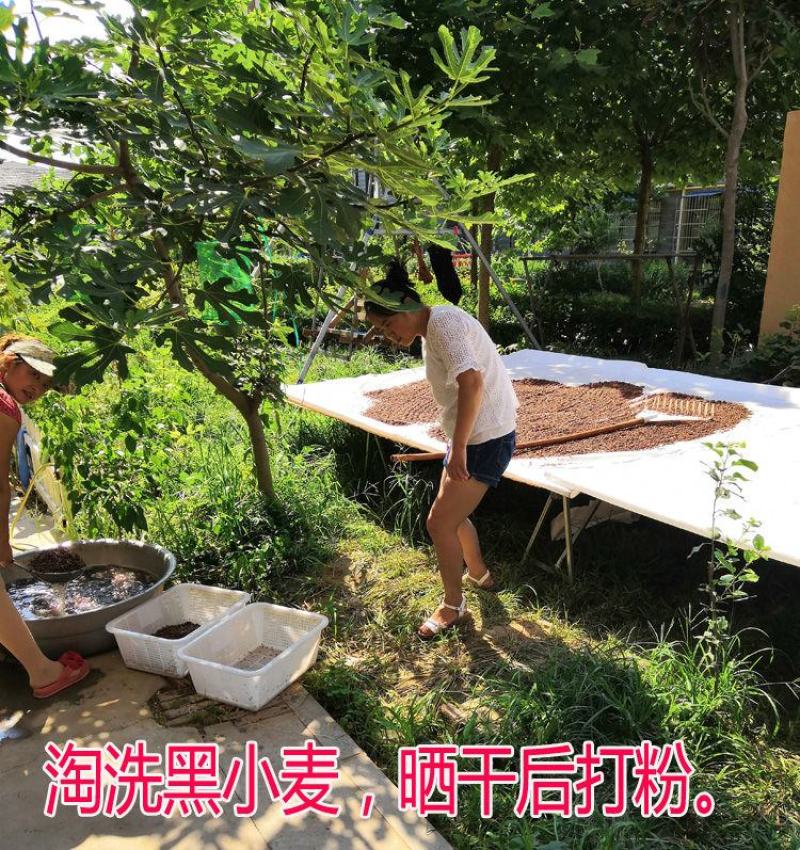 5斤新黑小麦全麦面粉纯黑麦粉新黑全麦粉含麸皮农家食用包邮
