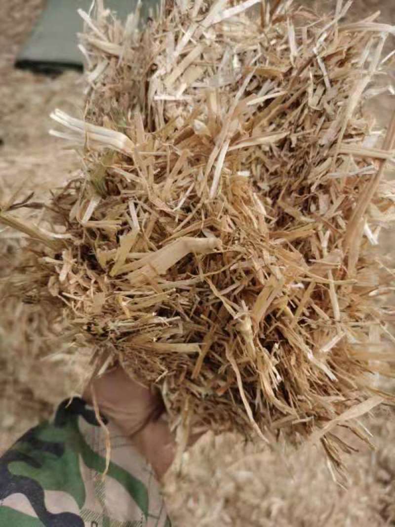 优质小麦秸秆干草料，适合喂牛