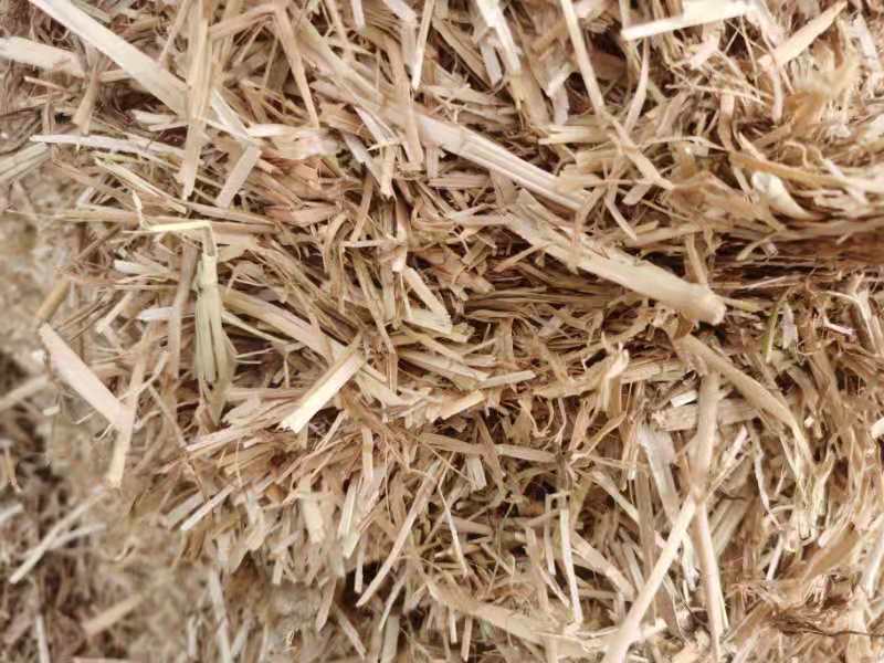 优质小麦秸秆干草料，适合喂牛