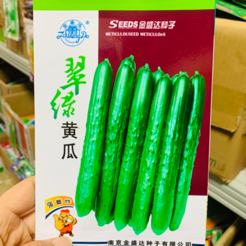 金盛达翠绿黄瓜种子强雌性黄瓜种子刺少肉质甜脆早熟一代杂交