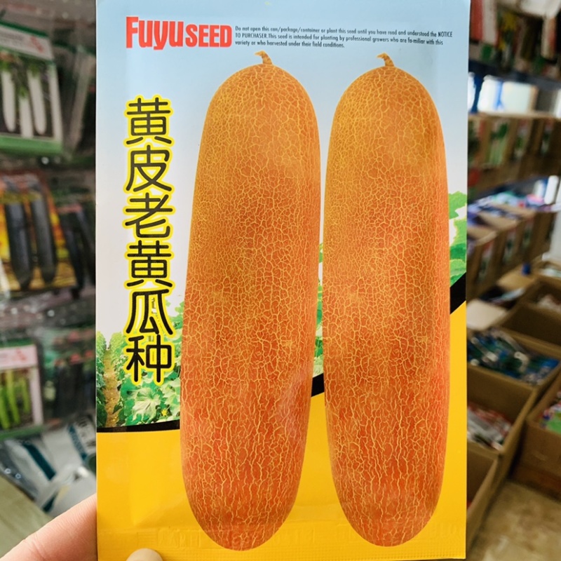 雌性优选黄皮老黄瓜种子耐低温抗病高产口味酸甜黄瓜