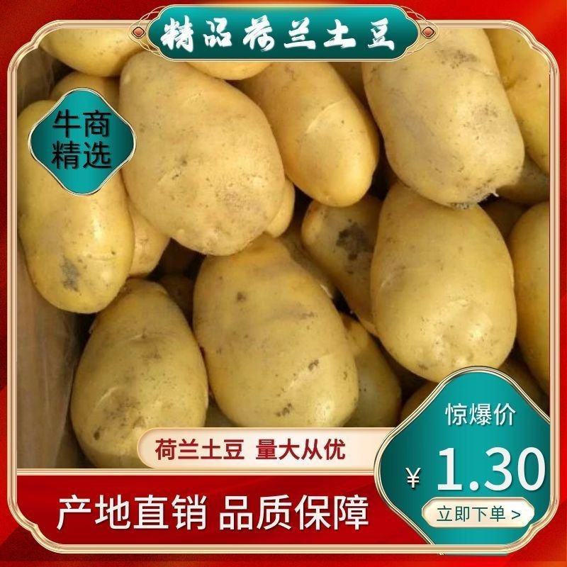惠东土豆开始上市了，欢迎各地的客商们前来订购，货源鲜、足