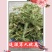 云南野生中药材伸筋草筋骨草舒筋草石松狮子
