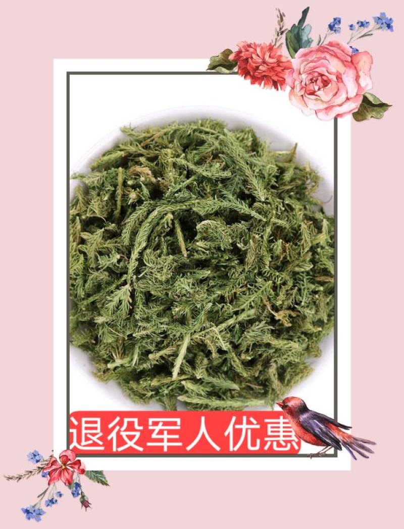 云南野生中药材伸筋草筋骨草舒筋草石松狮子