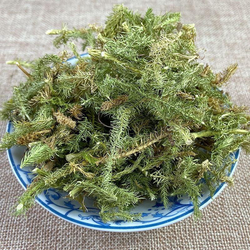 云南野生中药材伸筋草筋骨草舒筋草石松狮子