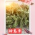 云南野生中药材伸筋草筋骨草舒筋草石松狮子