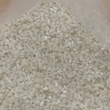 食堂米有做食堂的可以联系我厂家直销