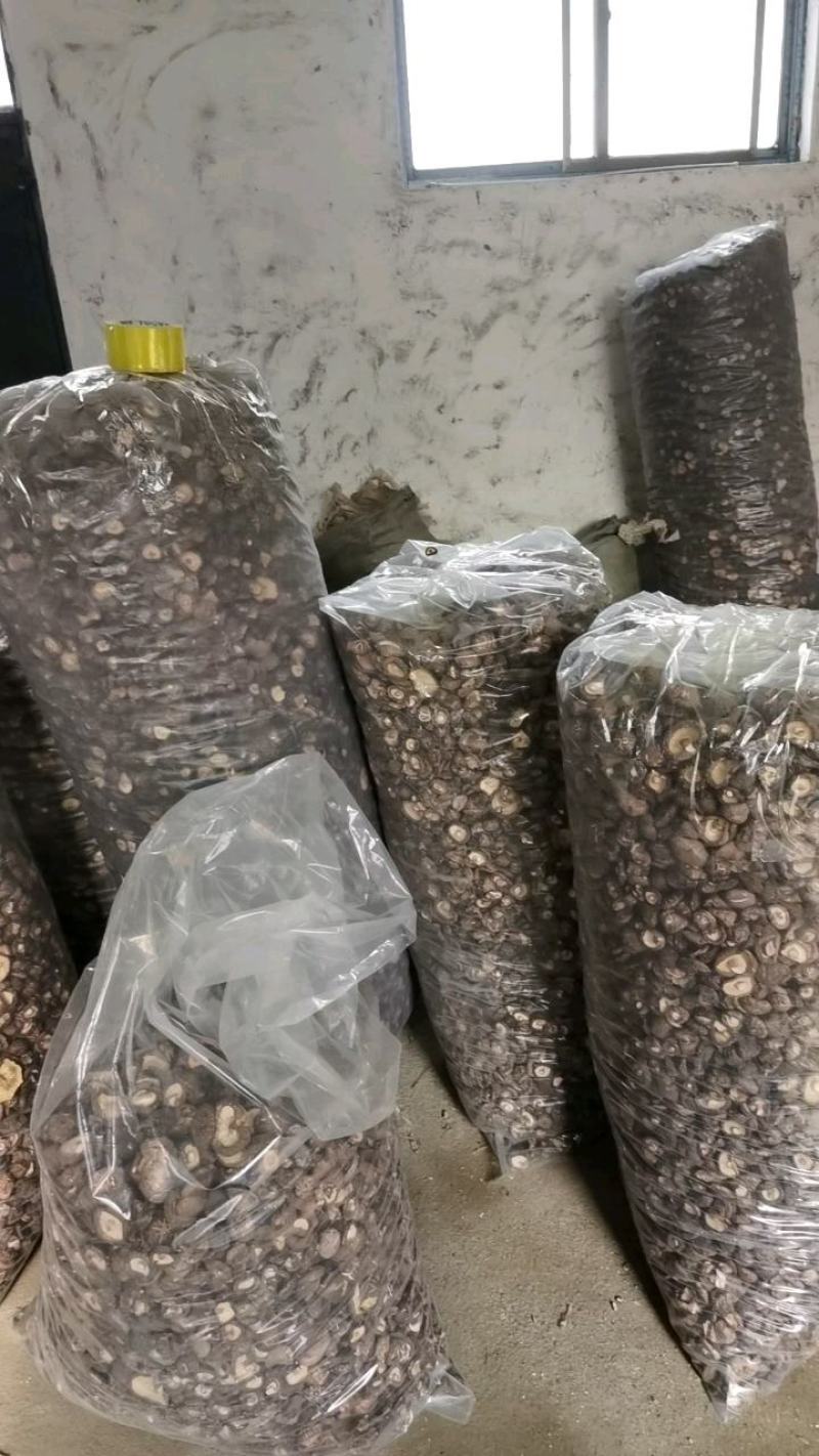自家种植基地，质量优良，干香菇常年供应