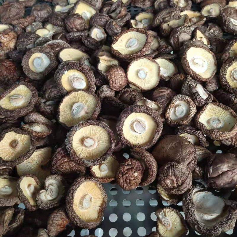 自家种植基地，质量优良，干香菇常年供应