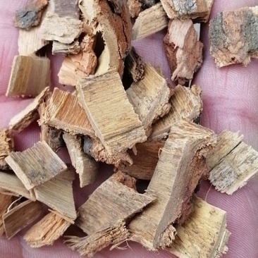 木兰皮中药材木兰皮各种冷背药材齐全