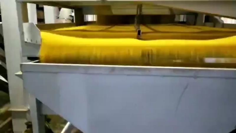 正宗内蒙古赤峰小米