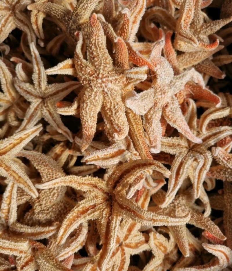 海星统装500g振兴药材购销站量大从优