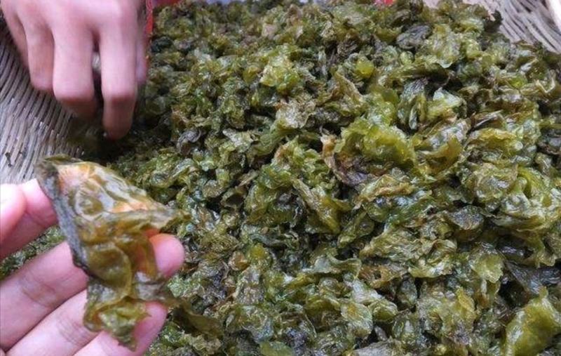 地大菜甘肃临夏特色野生地菜黑地软地大菜甘肃纯野地菜