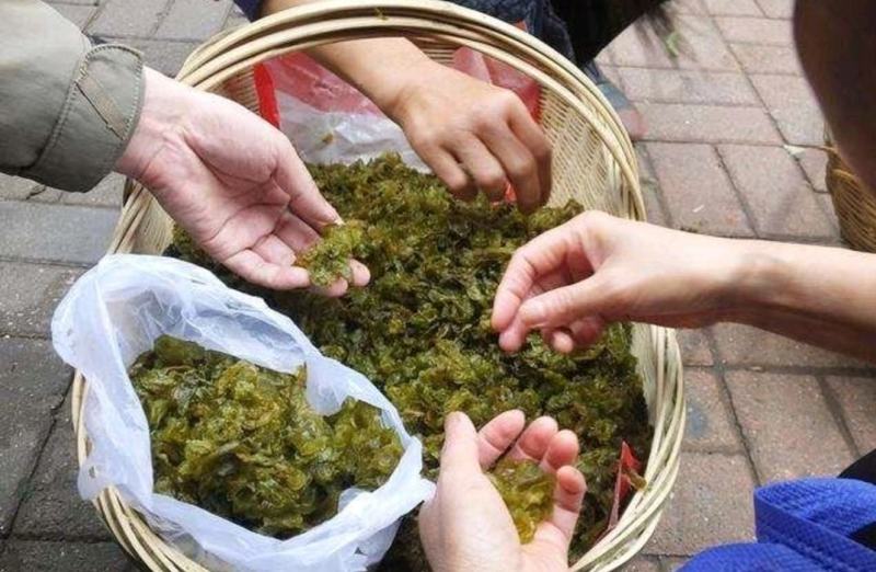 地大菜甘肃临夏特色野生地菜黑地软地大菜甘肃纯野地菜
