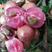 世纪优质良种果苗，紫皮紫肉新品种黄皮美植袋苗