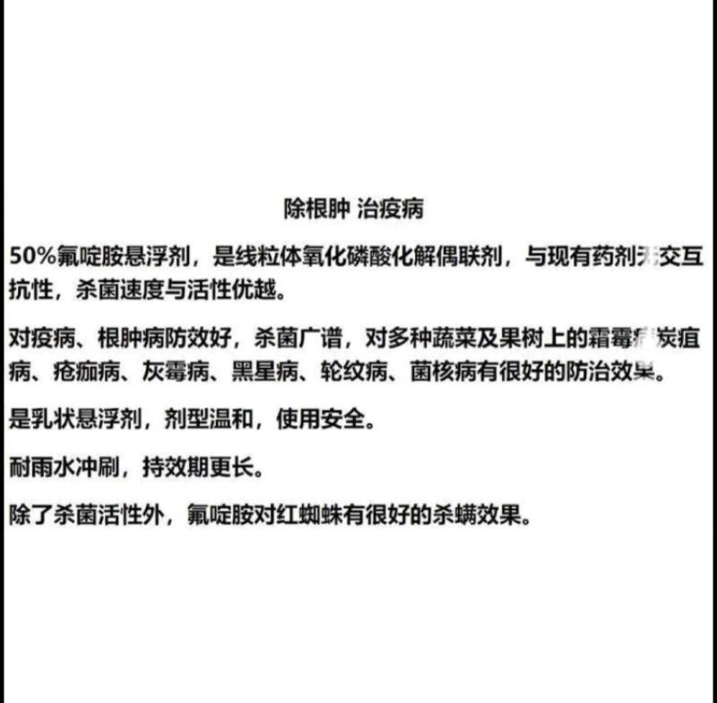 邹平邦露50%氟啶胺根肿病晚疫病炭疽病氟啶胺悬浮剂农药