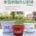 中款花盆塑料仿陶瓷厂家直销特价清仓零售特大号绿萝植物托盘