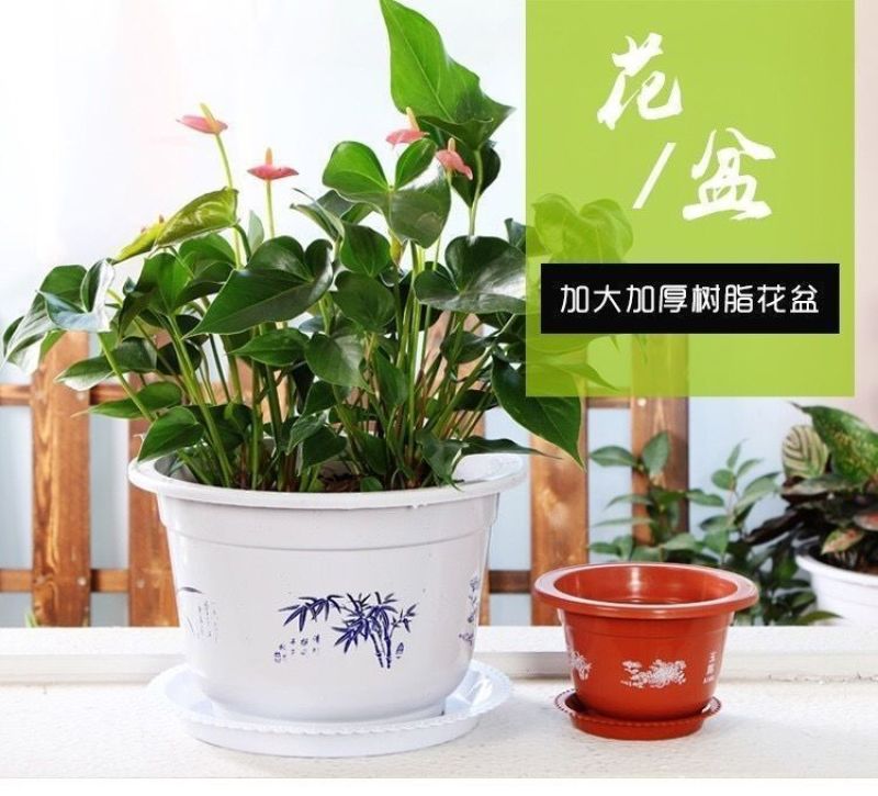 中款花盆塑料仿陶瓷厂家直销特价清仓零售特大号绿萝植物托盘