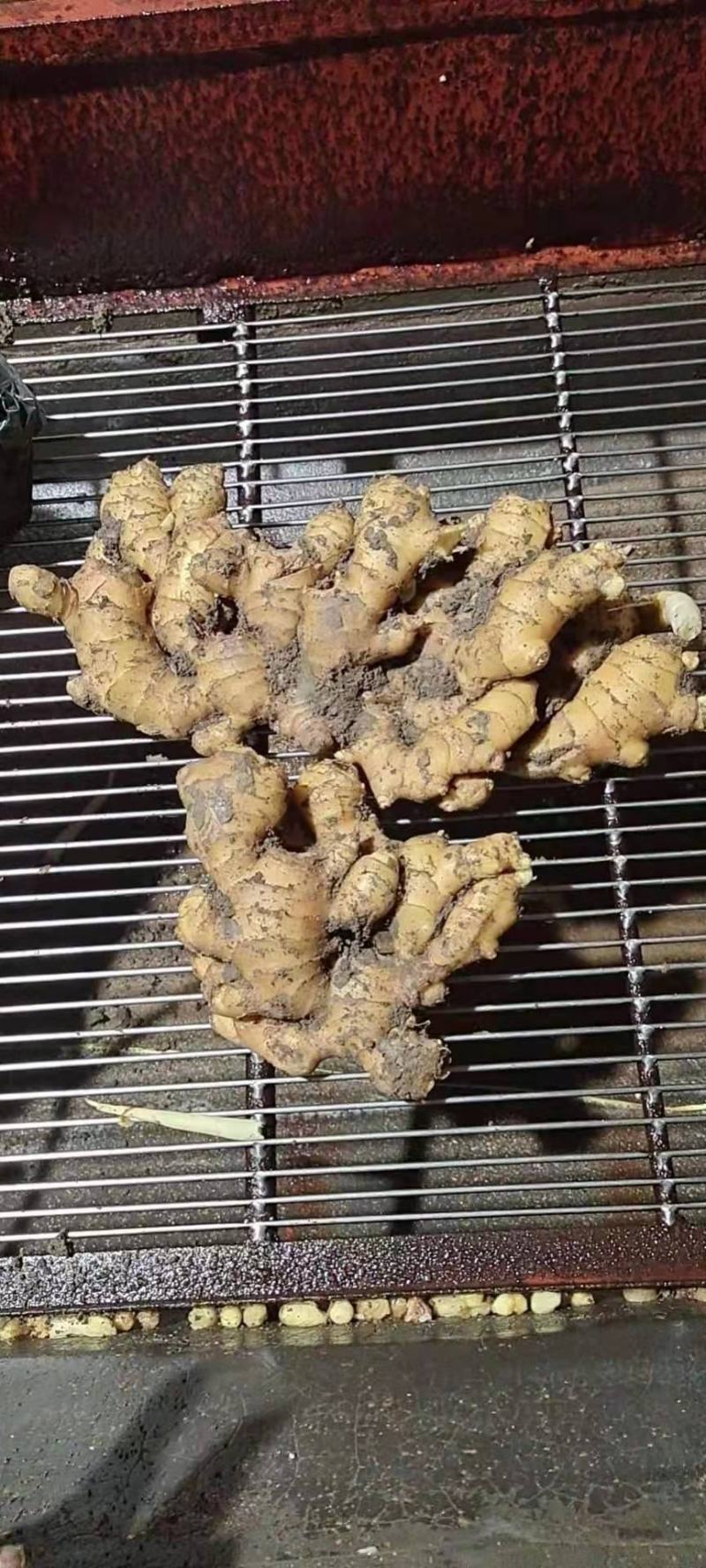 山东生姜小黄姜优质小黄姜产地直发量大质优