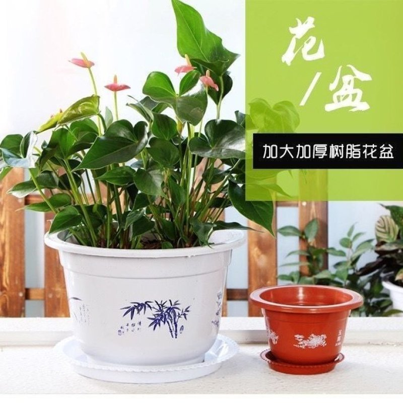 特大号塑料花盆厂家直销特价清仓零售批发绿植绿萝养花盆居家