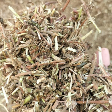 金银花藤条，今年新货，批发零售，厍存2000吨