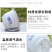 特大号塑料花盆厂家直销特价清仓零售批发绿植绿萝养花盆居家