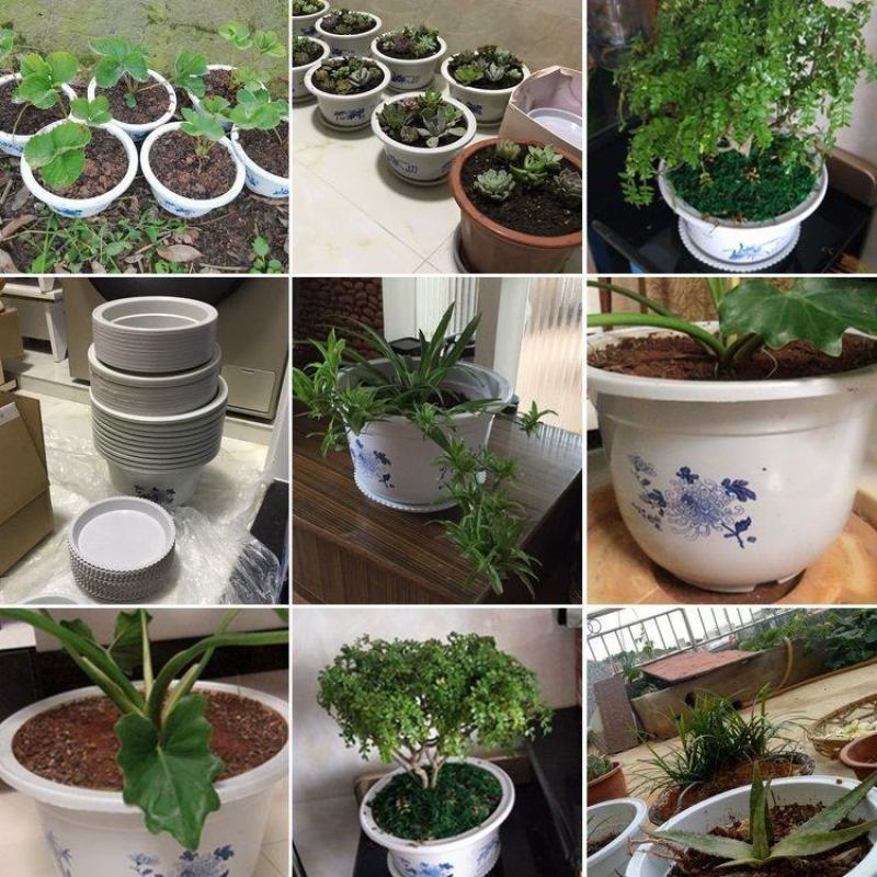 特大号塑料花盆厂家直销特价清仓零售批发绿植绿萝养花盆居家