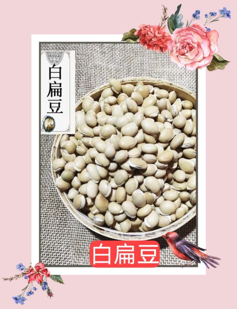 云南白扁豆高含量退役军人优惠