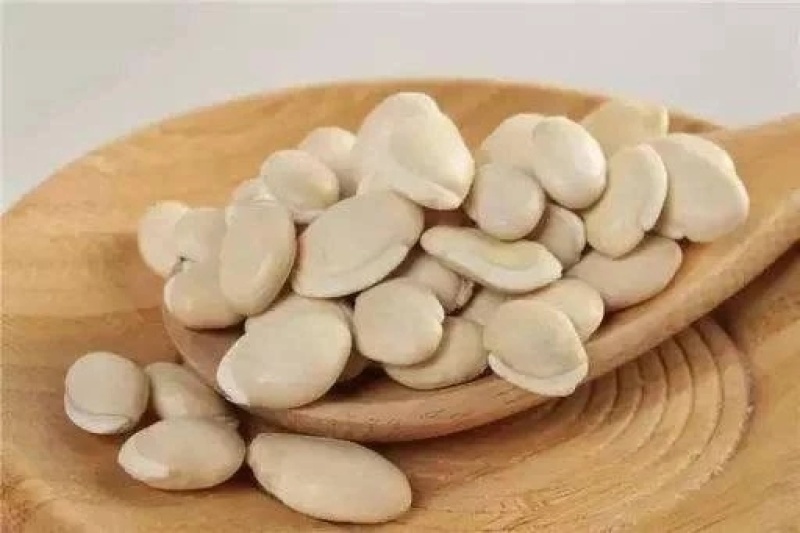 云南白扁豆高含量退役军人优惠