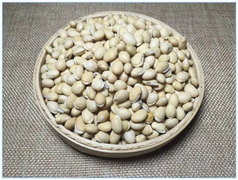 云南白扁豆高含量退役军人优惠