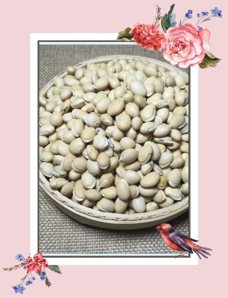 云南白扁豆高含量退役军人优惠