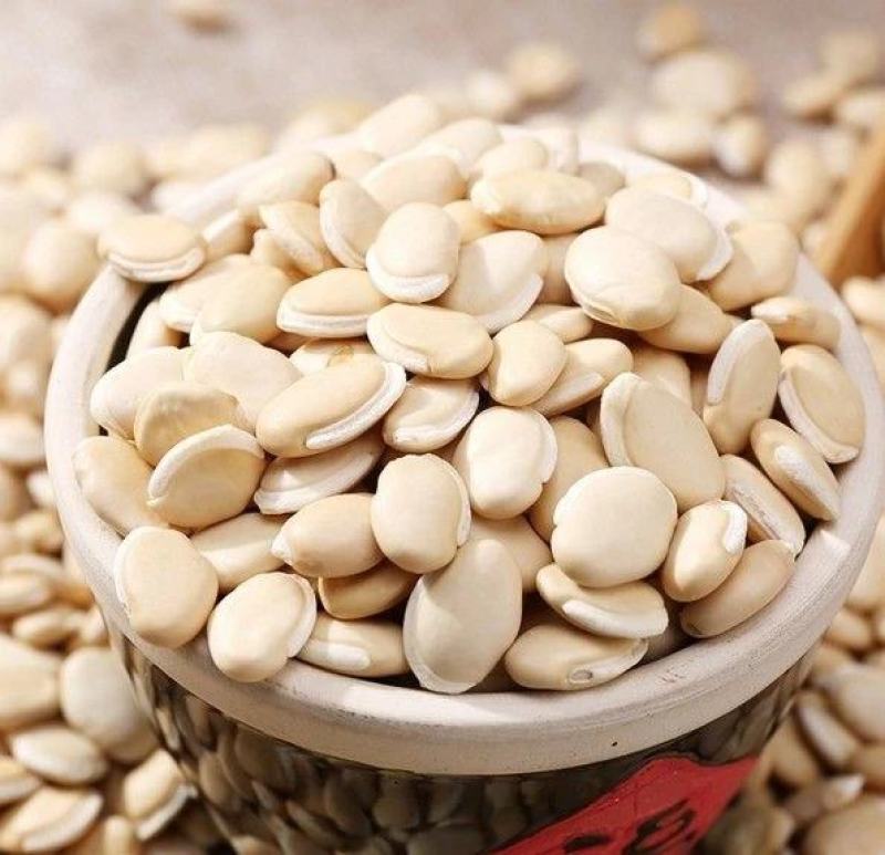 云南白扁豆高含量退役军人优惠