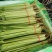 聊城精品芹菜大量上市