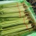 聊城精品芹菜大量上市