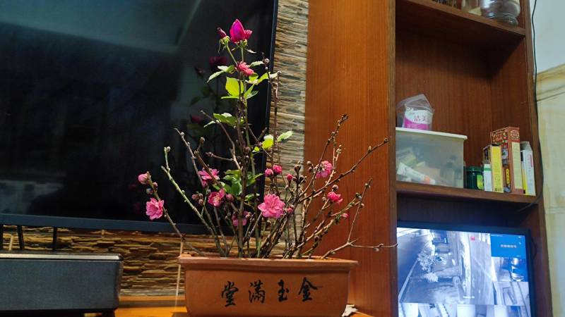 桃花枝