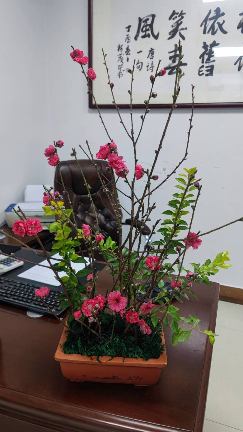 桃花枝