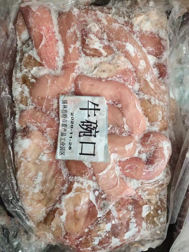 锡盟本地牛碗口带水肚，支持一件样品发货，全国接单中