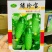 强雌品种一叶一瓜绿珍宝水果黄瓜种子抗病节节有瓜清香细腻